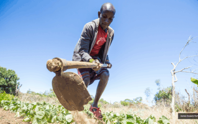 Finance climatique : les pays riches tirent profit de la crise   