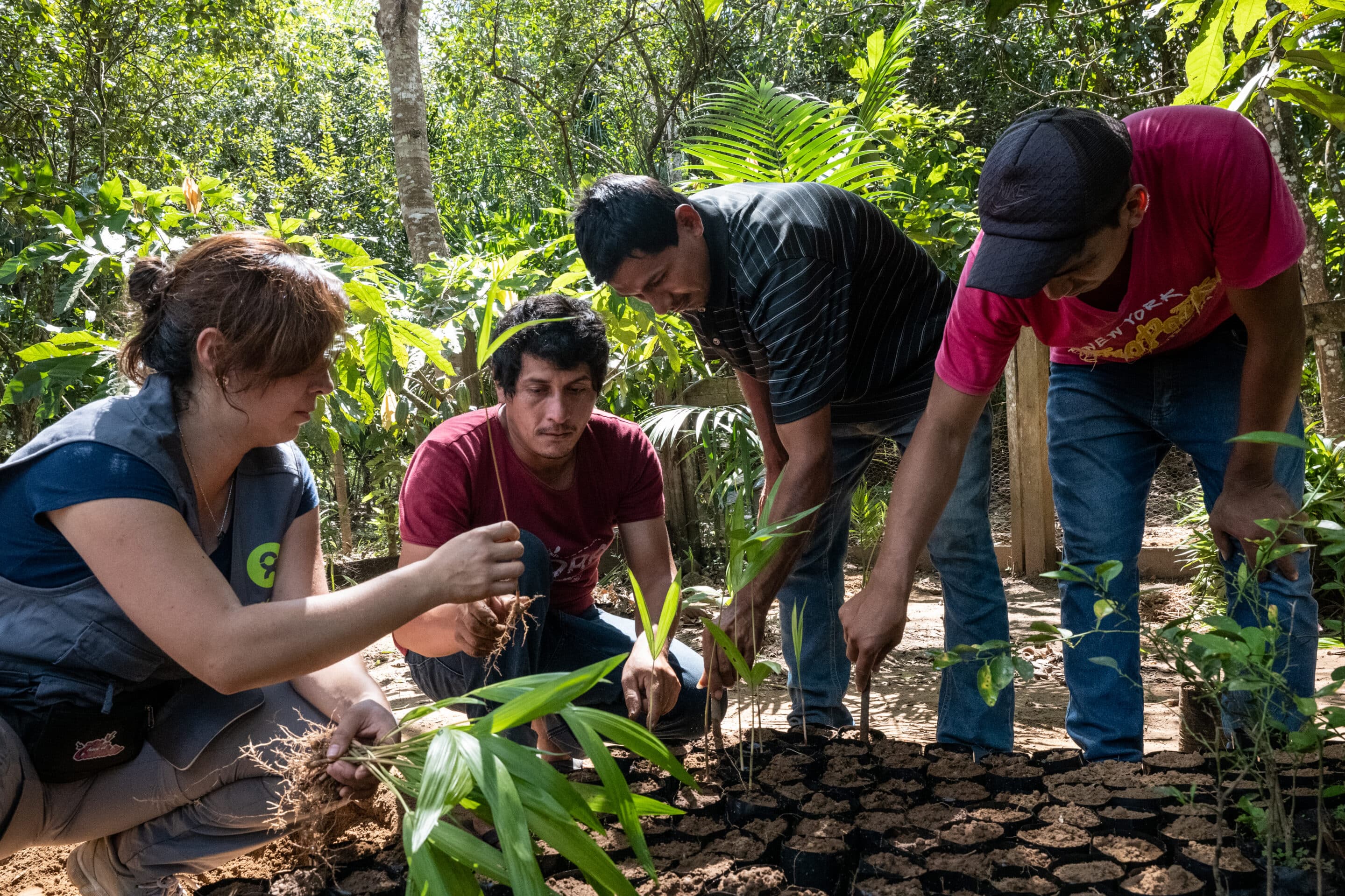 Jóvenes de AJORA trabajando en el vivero con personal de Oxfam une femme et trois hommes qui font de l'agriculture