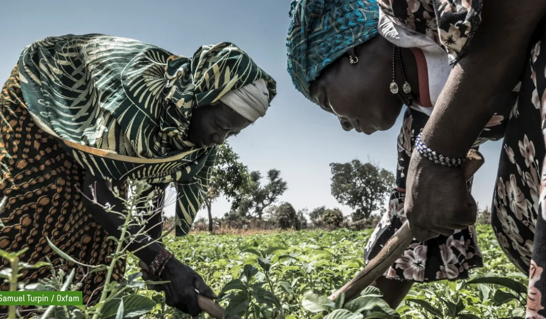 agricultrices au Burkina Faso