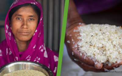 Un « scandaleux » manque de financement pour 55 millions de personnes en situation d’insécurité alimentaire extrême