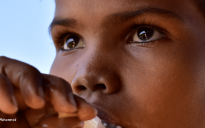 Les réalités des Rohingyas – L’avenir des Rohingyas