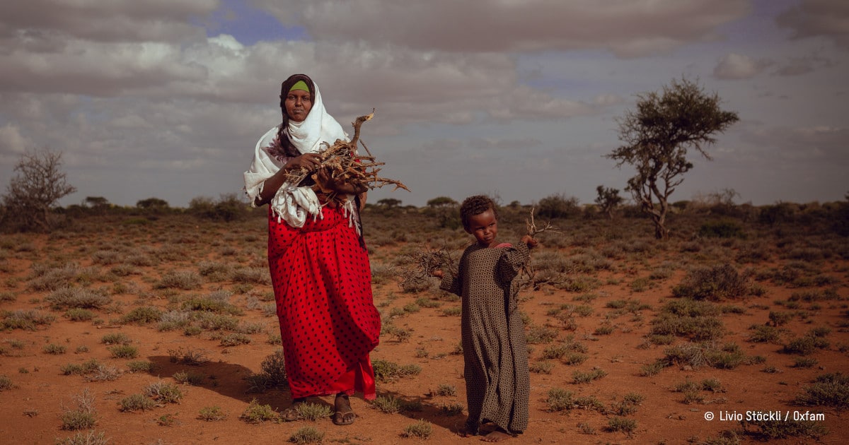 collecte de bois en Somalie